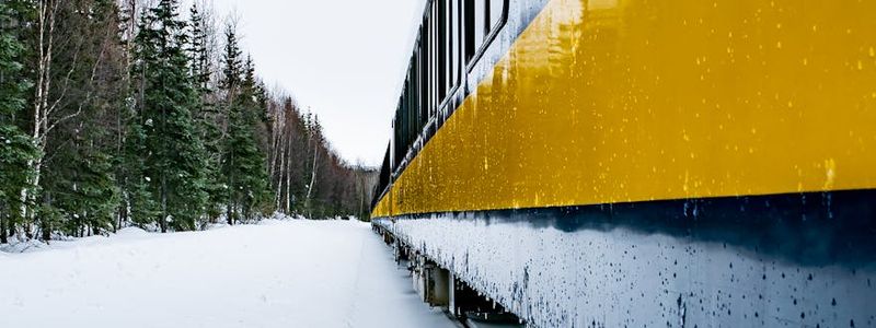 A path or track extending into the distance, symbolizing a journey.